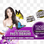 Togel Hari Ini